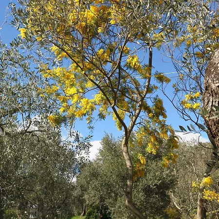 Casa Lucia