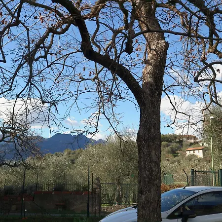 Casa Lucia